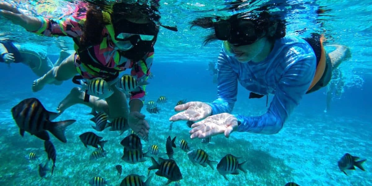 Cozumel Reefs and El Cielito Boat Tour — 3